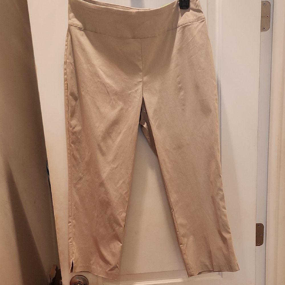 Izod Golf Tan Pants Nwt